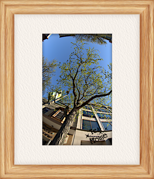 GC-instax wide - 14.png