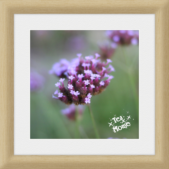 8x8-York 96Ppi.jpg