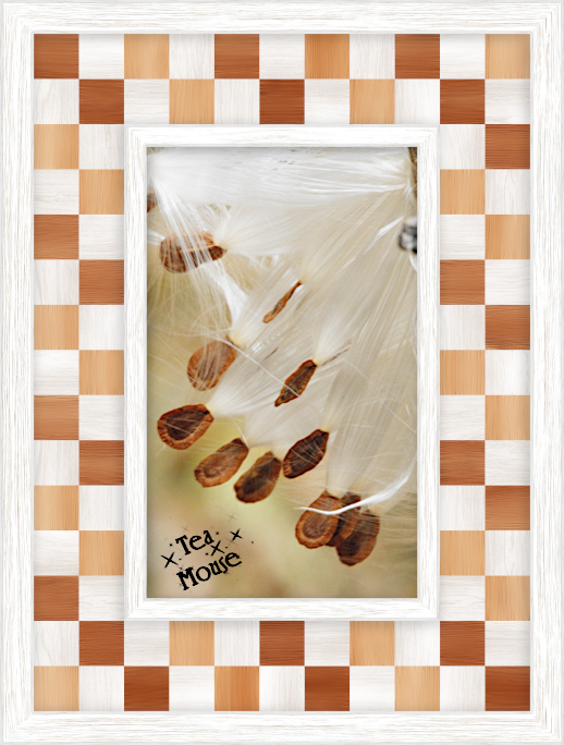 GC-7 x 10 checkered-01.jpg