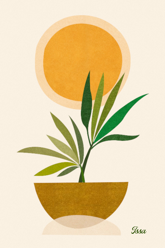 Boho_Plant_Issa.jpg