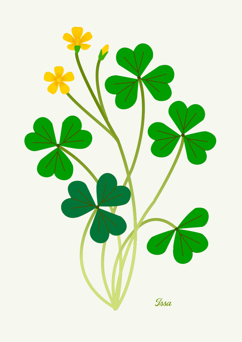 Sprig of clover_Issa.jpg