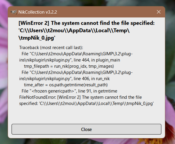Nik-Error 2.jpg