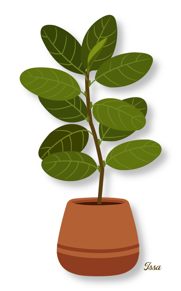 Planta interior Illustration+shadow-Issa.jpg