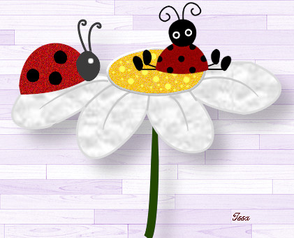 ladybirds on a daisy-Issa.jpg