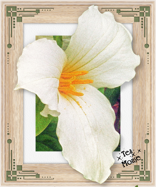 GC - OLive Green Art Corner.png