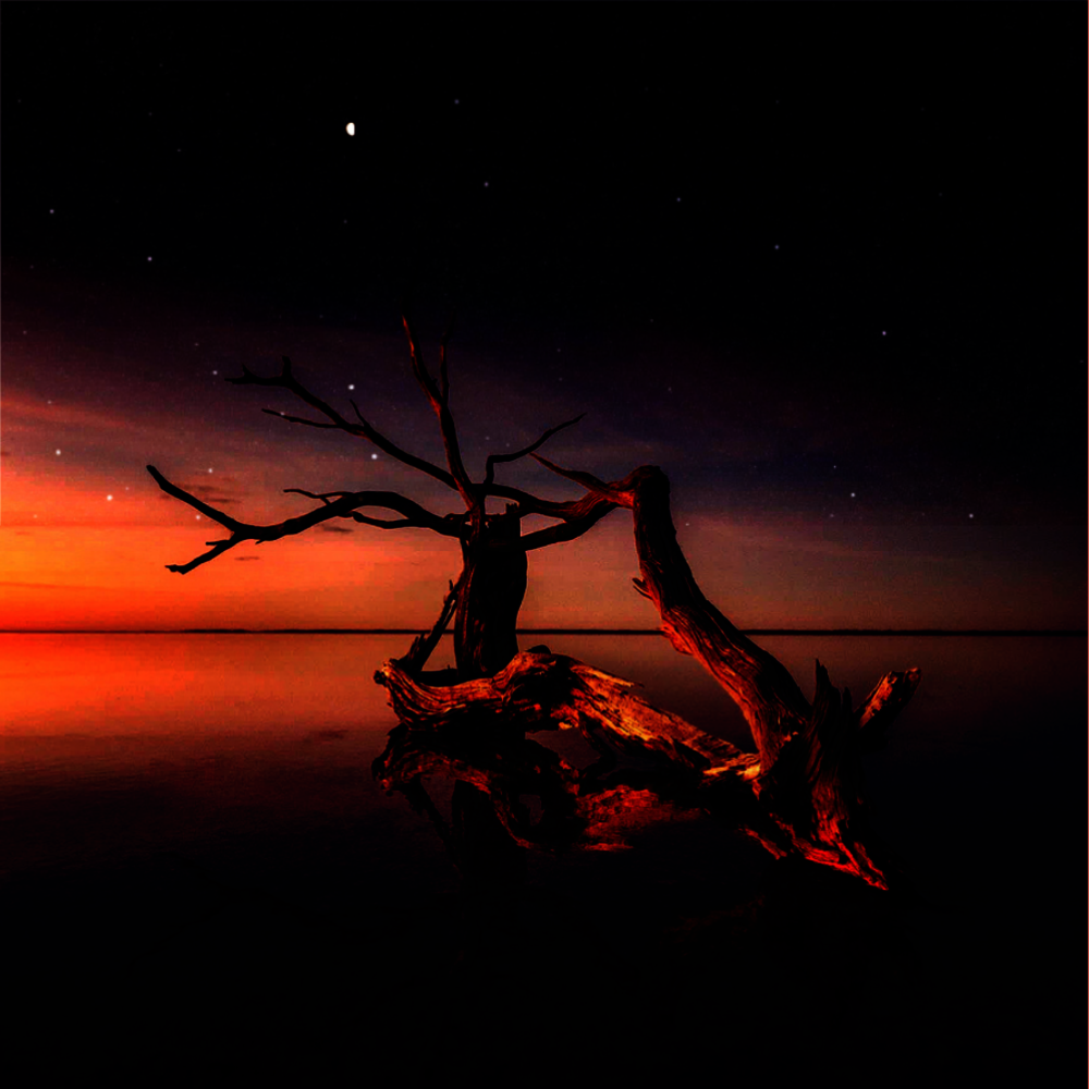 mallee_nightfall.png