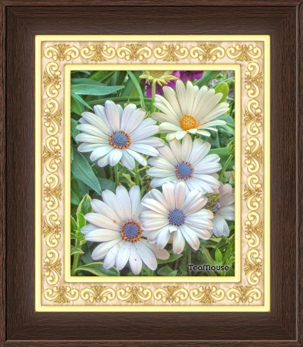GC - 9 x 7 Deco Rustic Dk Brown - 01.png