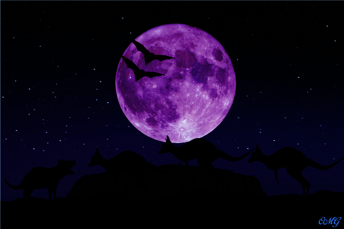 uluru_nocturnal.png