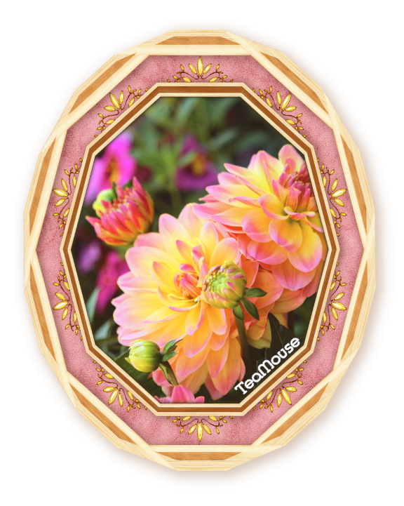 GC - 7 x 8 Decagon Lt. Wood Lt Pink - 01.png