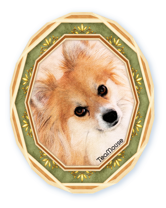 GC - 7 x 8 Decagon Lt. Wood Bud - 01.png