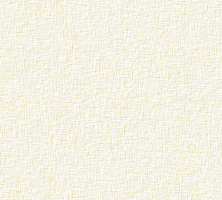Photo Matt-Texture 01.jpg