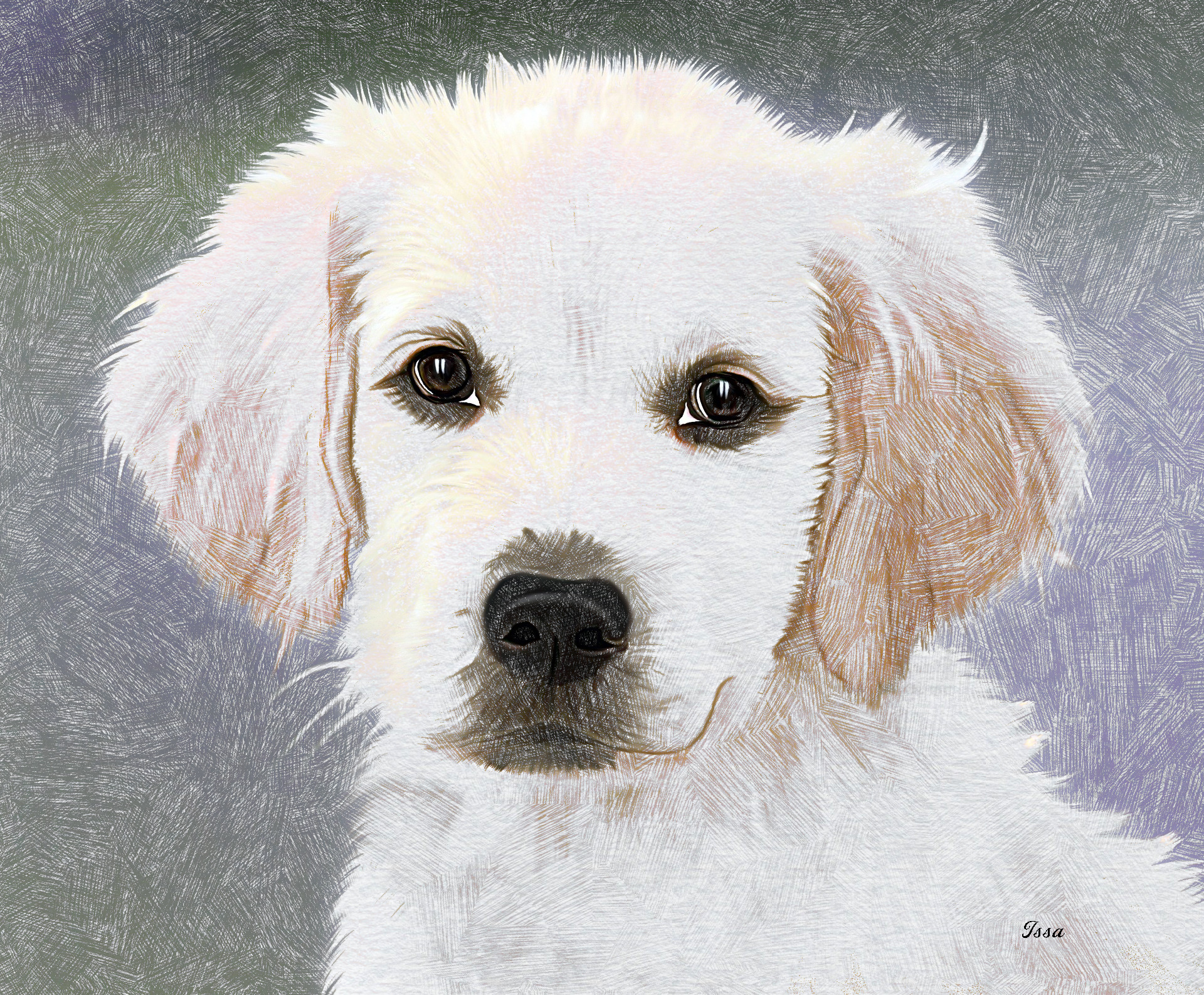 Retriever_Labrador_CrossSketch_Outcome_L_O_Issa.jpg