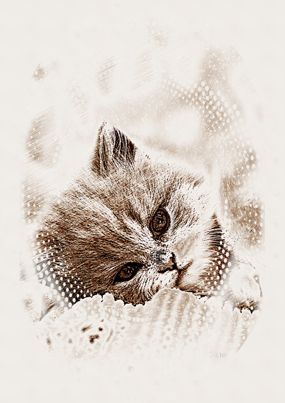 british-shorthair-Color_CrossSketch_+ Deco-Mask_Issa.jpg
