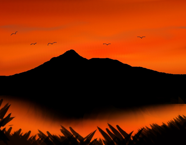 dawn2013.jpg
