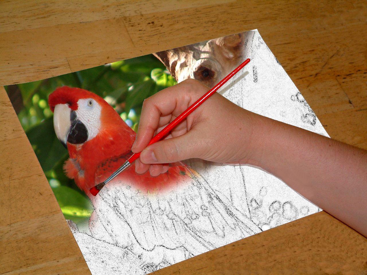 Image